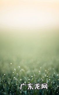 唯美小清新文艺图片 小清新图片 文艺