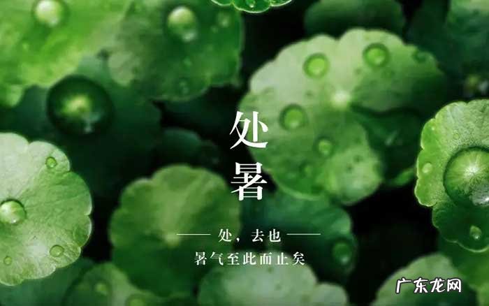 小暑节气朋友圈文案 2021处暑节气朋友圈文案图片