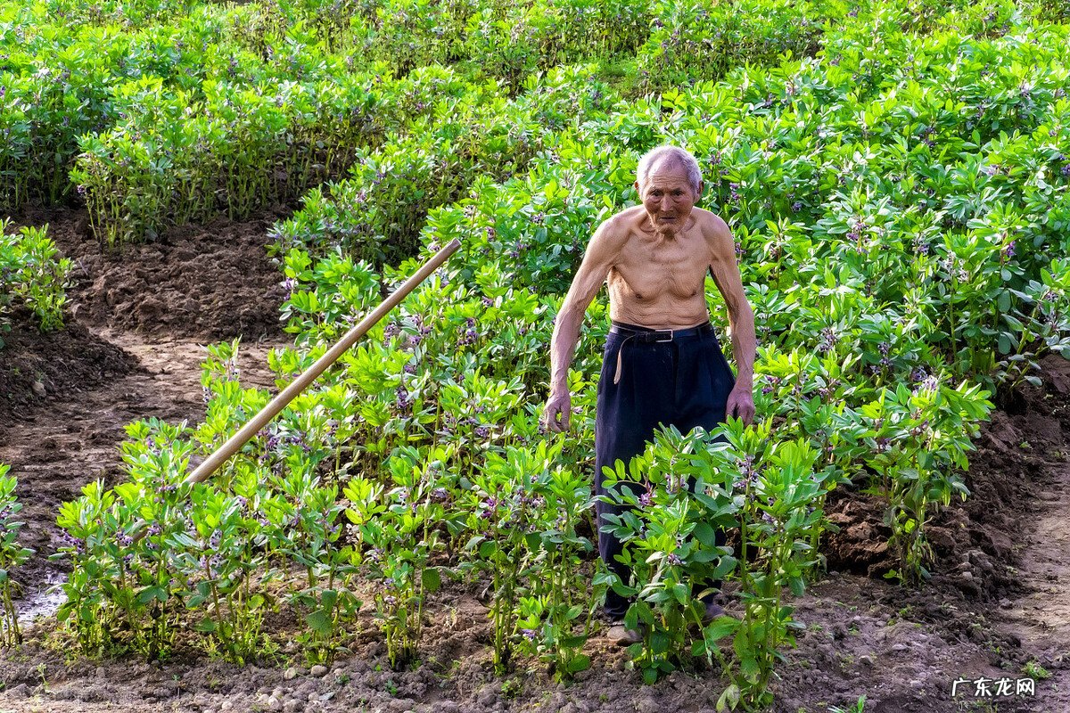 农民与插队知青干过什么最苦最累的农活让你记一辈子？
