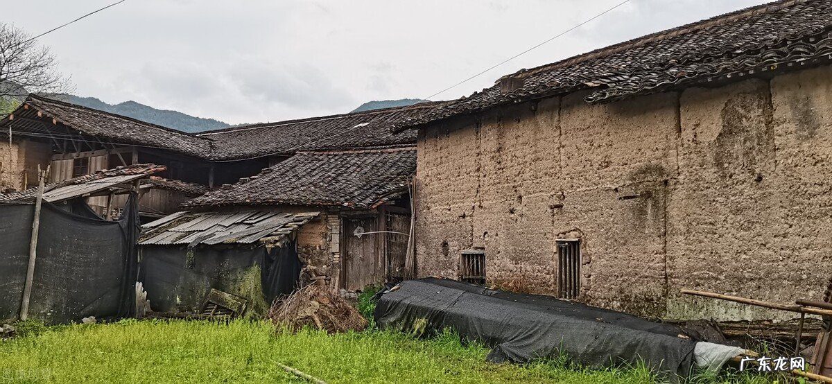 农民与插队知青干过什么最苦最累的农活让你记一辈子？