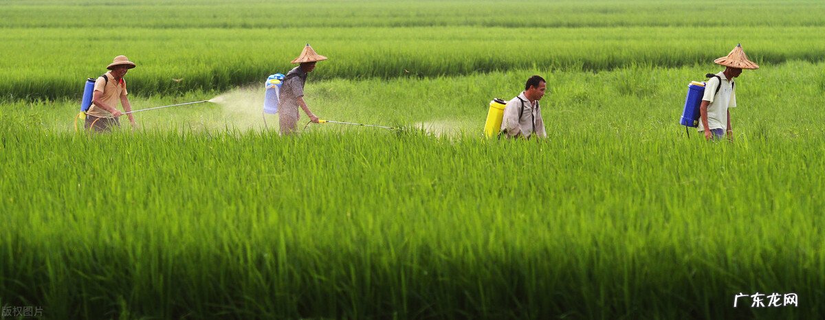 农民与插队知青干过什么最苦最累的农活让你记一辈子？