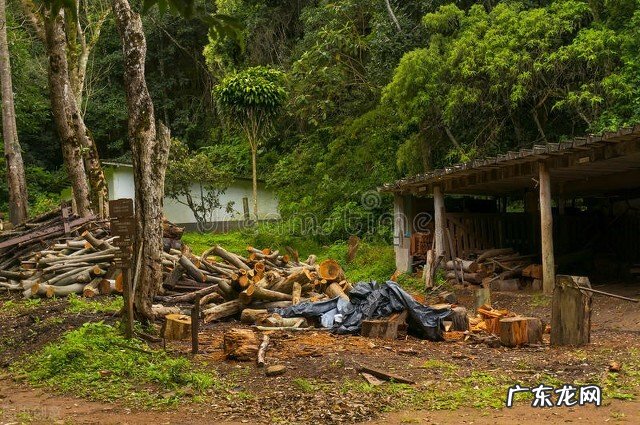 农民与插队知青干过什么最苦最累的农活让你记一辈子？