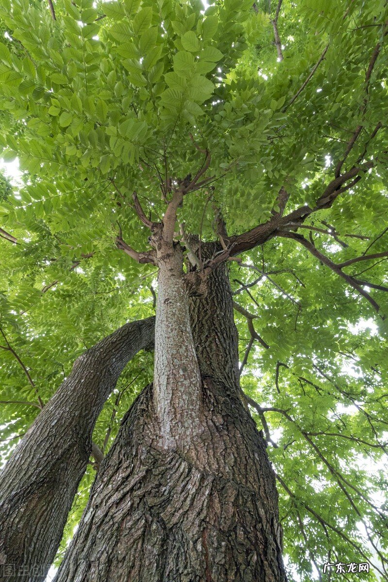 农民与插队知青干过什么最苦最累的农活让你记一辈子?