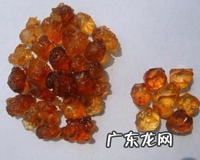 桃胶有桃子的味道吗 桃胶是什么树上长出来的呢