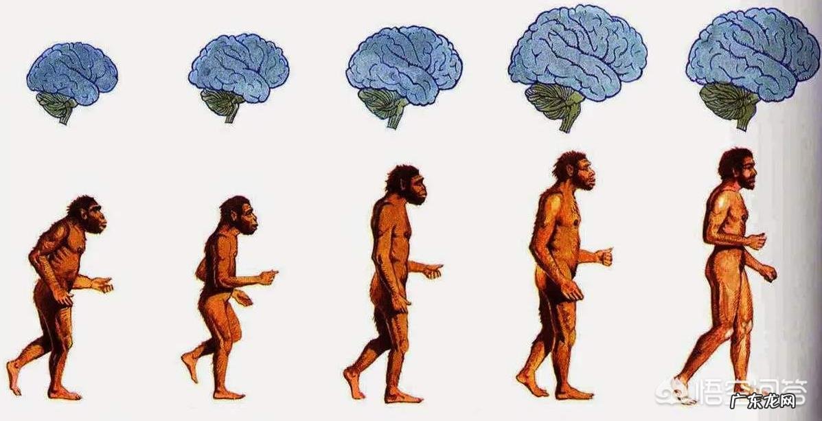 世界上存在着三大未解之谜，一是人的身体之谜，二是地球内核之谜，三是浩翰宇宙之谜，这些都因何成谜？