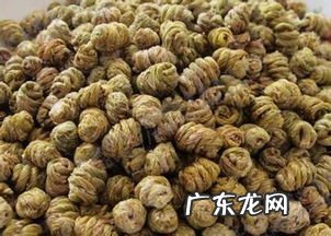 铁皮枫斗的功效与禁忌 铁皮枫斗有什么作用和功效和禁忌