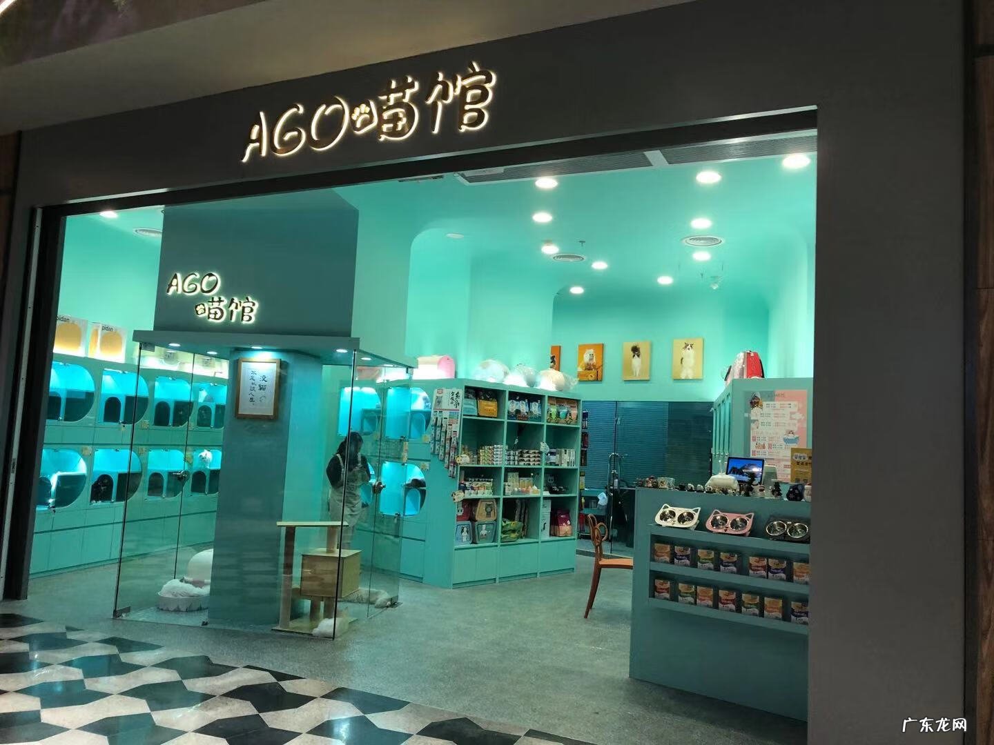 深圳宠物批发市场在哪里 深圳宠物用品批发市场