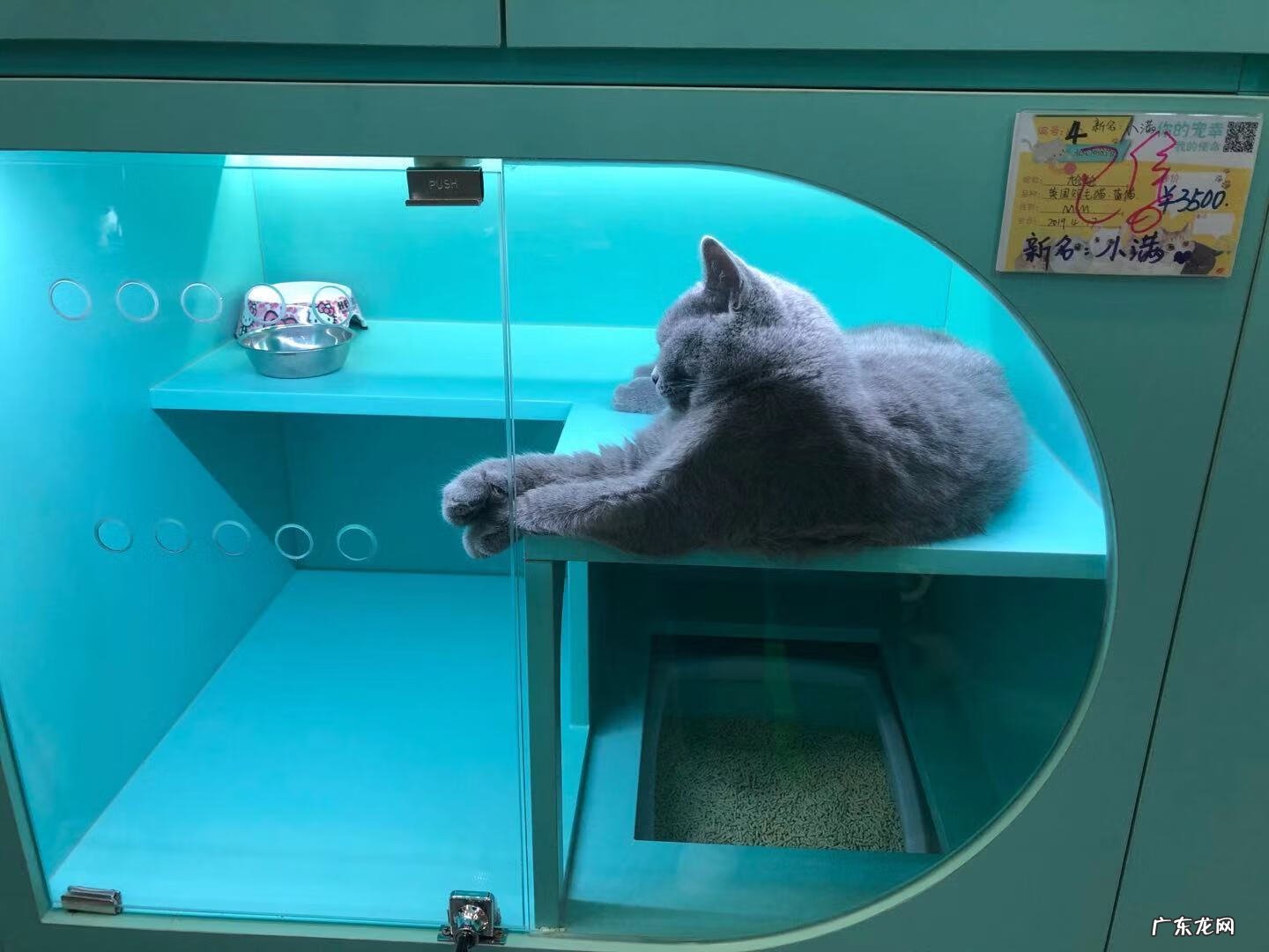 深圳宠物批发市场在哪里 深圳宠物用品批发市场