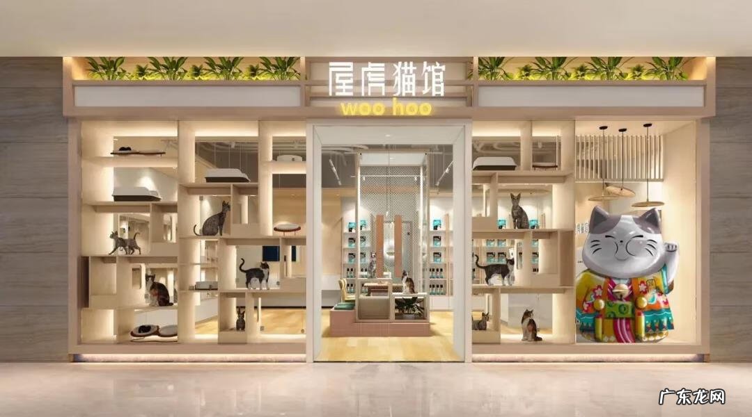 深圳宠物批发市场在哪里 深圳宠物用品批发市场