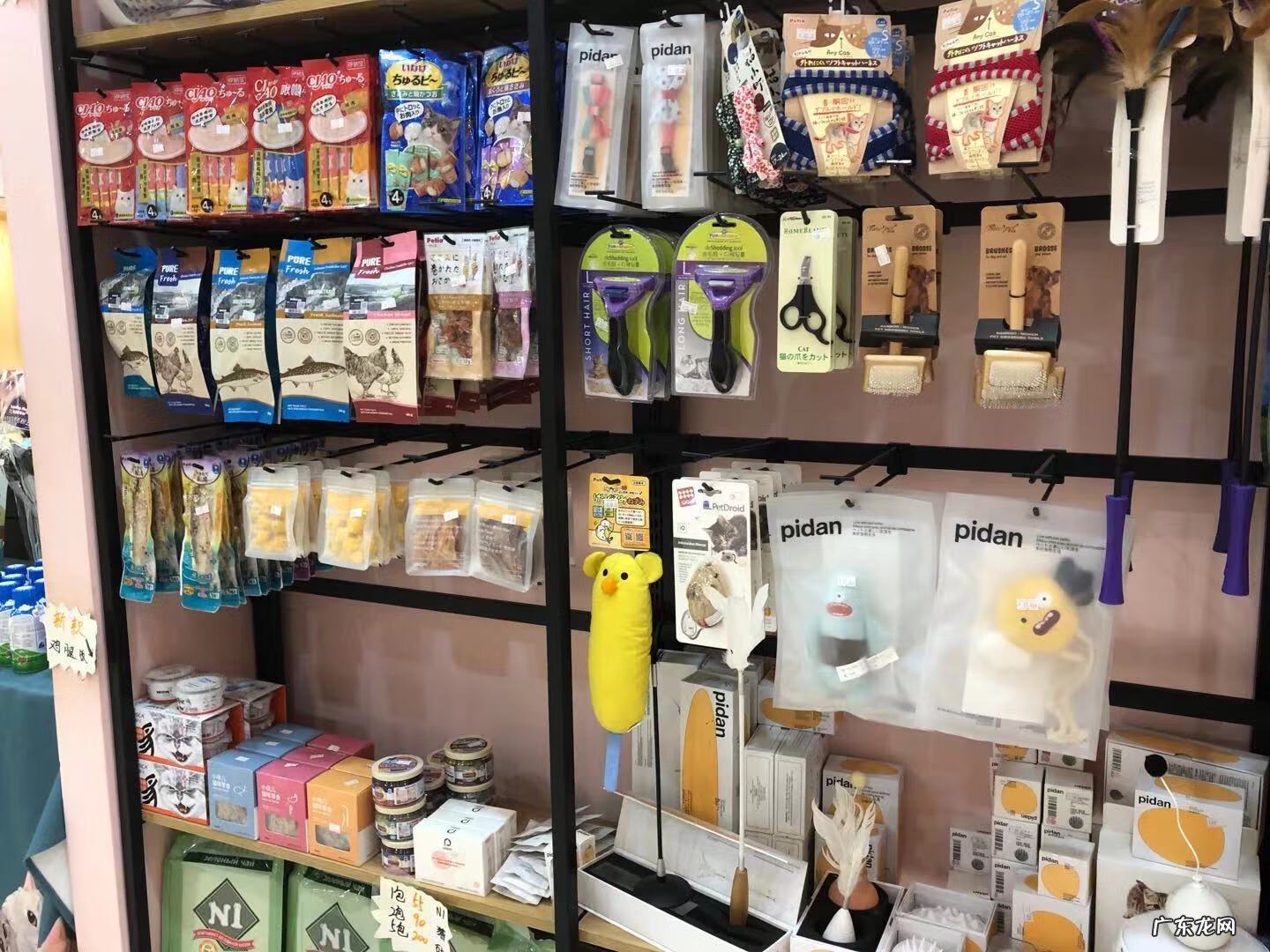 深圳宠物批发市场在哪里 深圳宠物用品批发市场