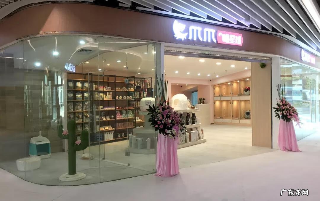 深圳宠物批发市场在哪里 深圳宠物用品批发市场