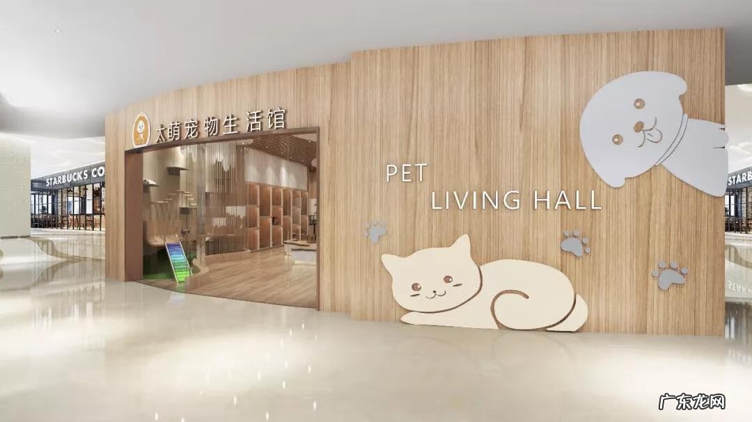 深圳宠物批发市场在哪里 深圳宠物用品批发市场