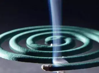 人感染了蛾蠓幼虫怎么办 蛾蚋幼虫是黑色的吗