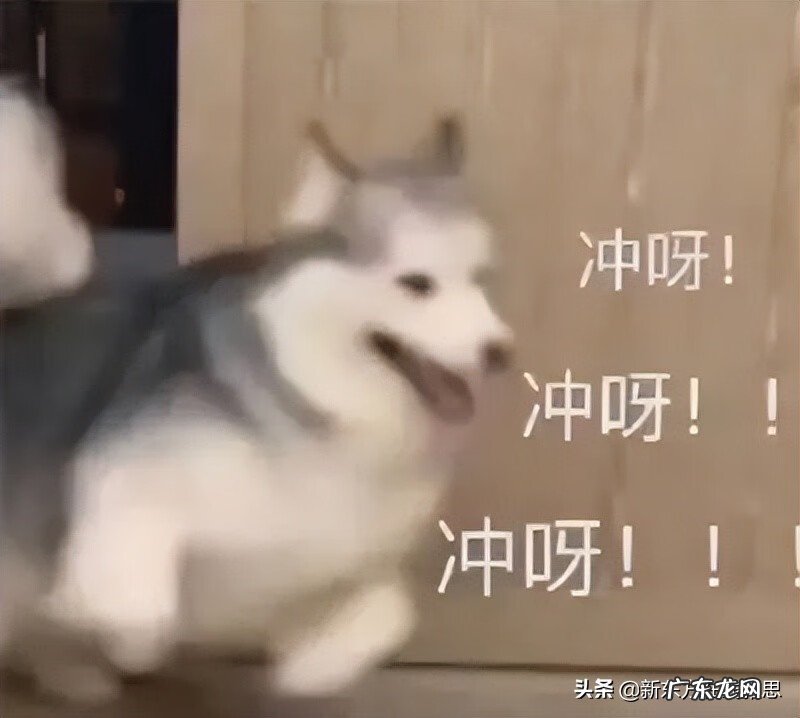 新东方雅思培训 上海新东方 雅思