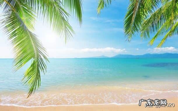 听说夏威夷的海滩最美，美到什么程度？