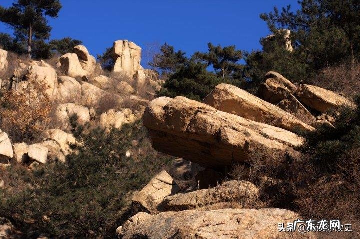 历史上有什么离奇的杀人案?