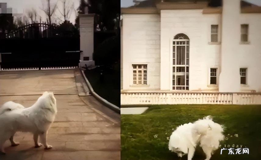 乔欣家里到底干什么的知乎 乔欣家里有钱吗