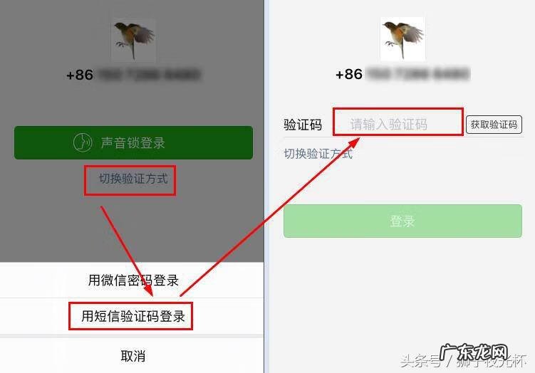 支付宝支付密码登录 支付宝登陆密码是什么意思