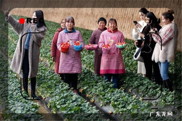 农村致富好项目 发家致富的好项目