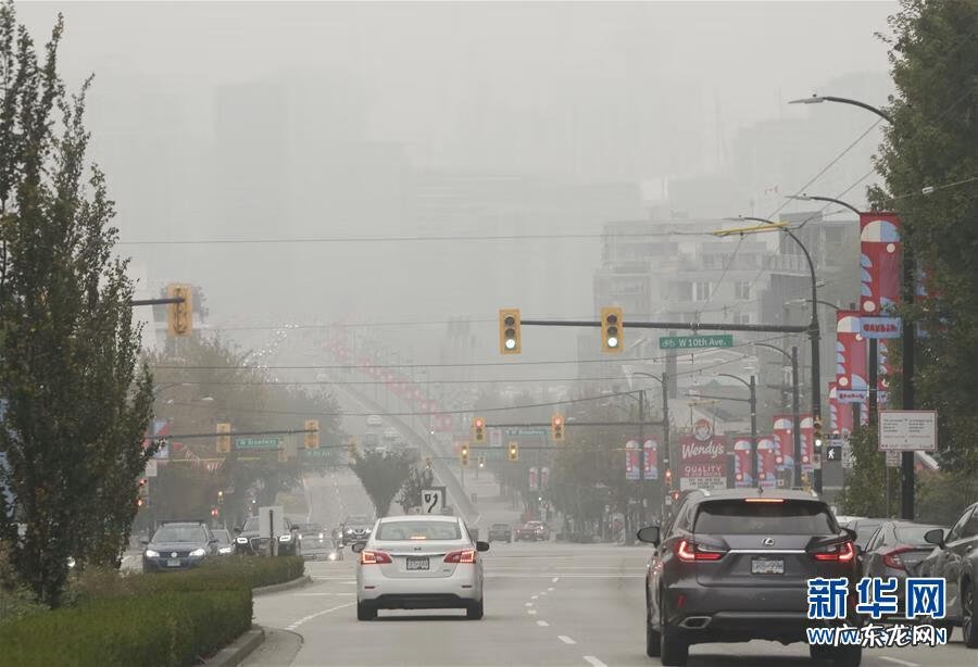 温哥华天空橱柜公司 温哥华天空信息版