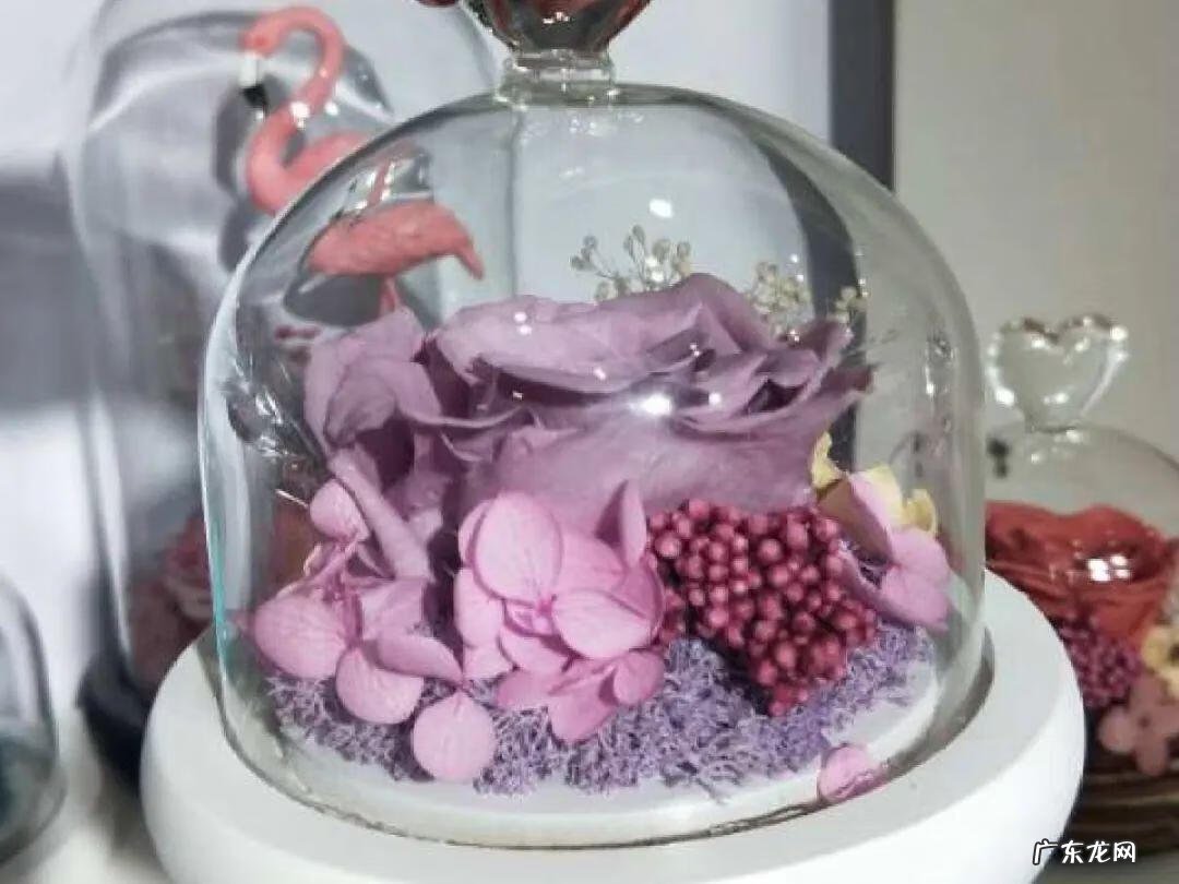 做干花的步骤与方法 新鲜的花怎么做干花