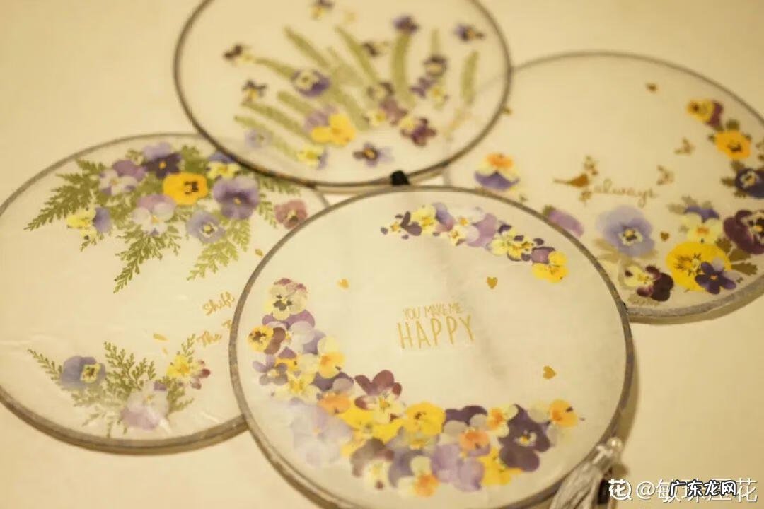 做干花的步骤与方法 新鲜的花怎么做干花