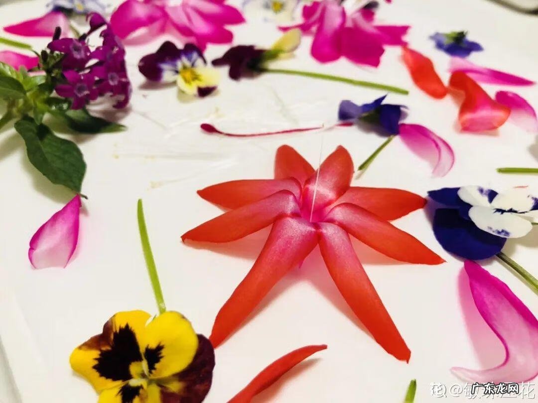 做干花的步骤与方法 新鲜的花怎么做干花