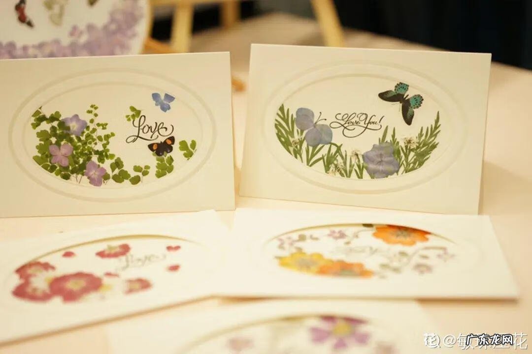 做干花的步骤与方法 新鲜的花怎么做干花