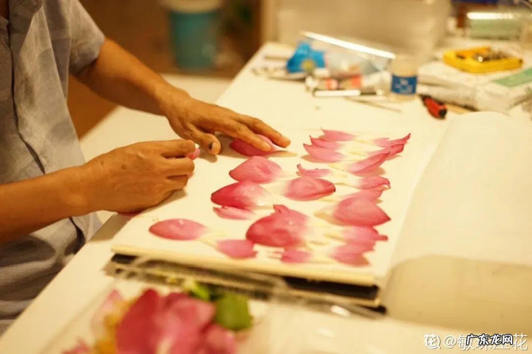 做干花的步骤与方法 新鲜的花怎么做干花