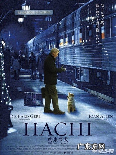 哪部电影值得多看几次？