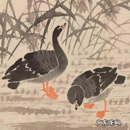 雁组词语和拼音怎么写 雁组词和读音