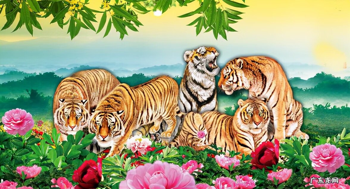 带虎的成语有哪些成语 虎的成语有哪些成语解释