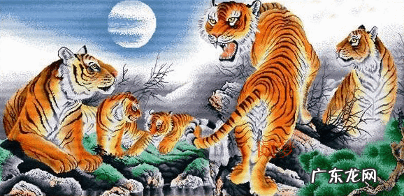 带虎的成语有哪些成语 虎的成语有哪些成语解释