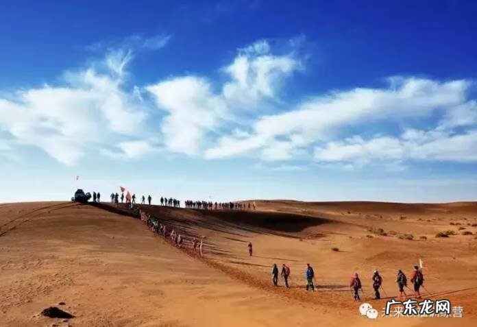 夏令营小学生 小学生夏令夏令营