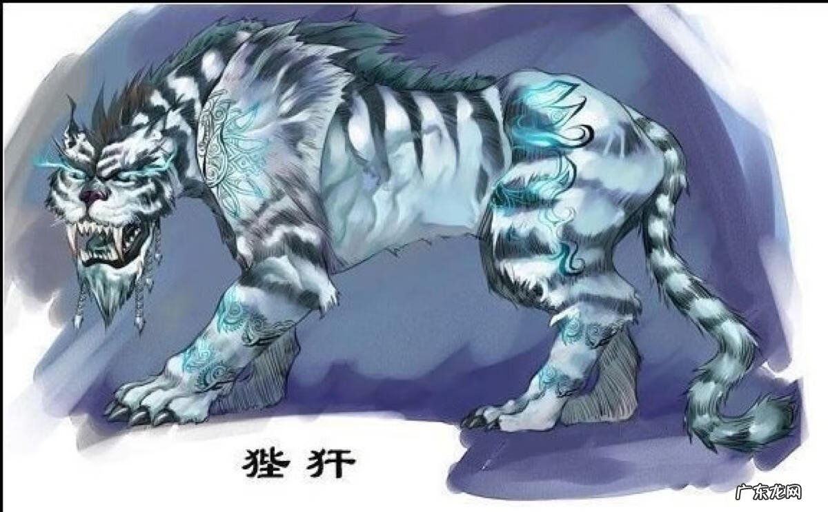 水牛风水作用 水牛 风水