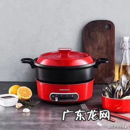 摩飞电炖锅好用吗 摩飞多功能锅食谱视频大全