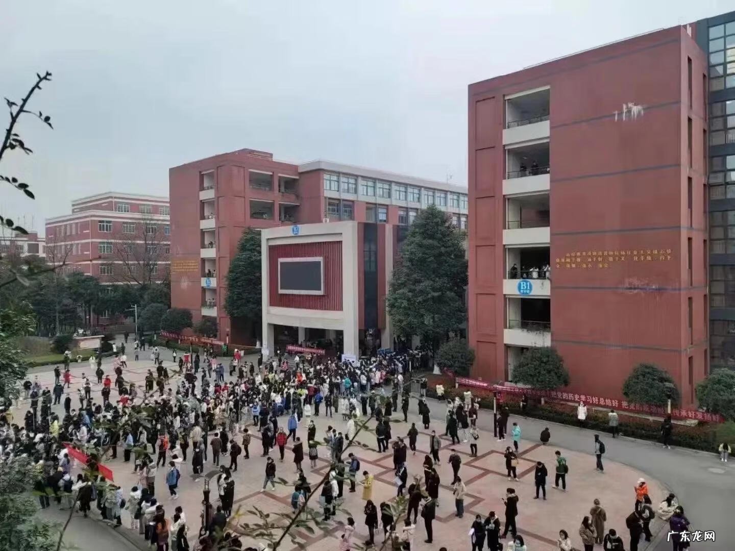 研究生考试2022报名 研究生报名流程详细