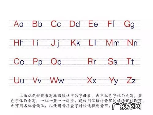 种类的拼音怎么读 其中的拼音怎么写