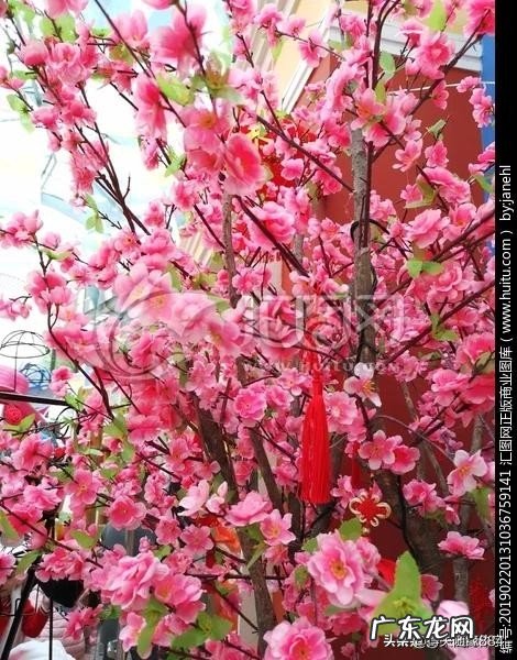 你理想中的生活方式有哪些?