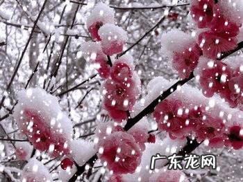 你理想中的生活方式有哪些?