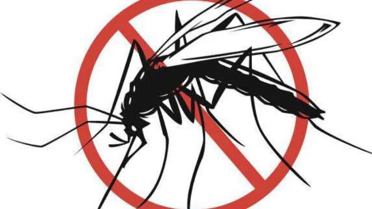 厨房经常长有一些小蚊子,有什么办法可以祛除蚊子呢?