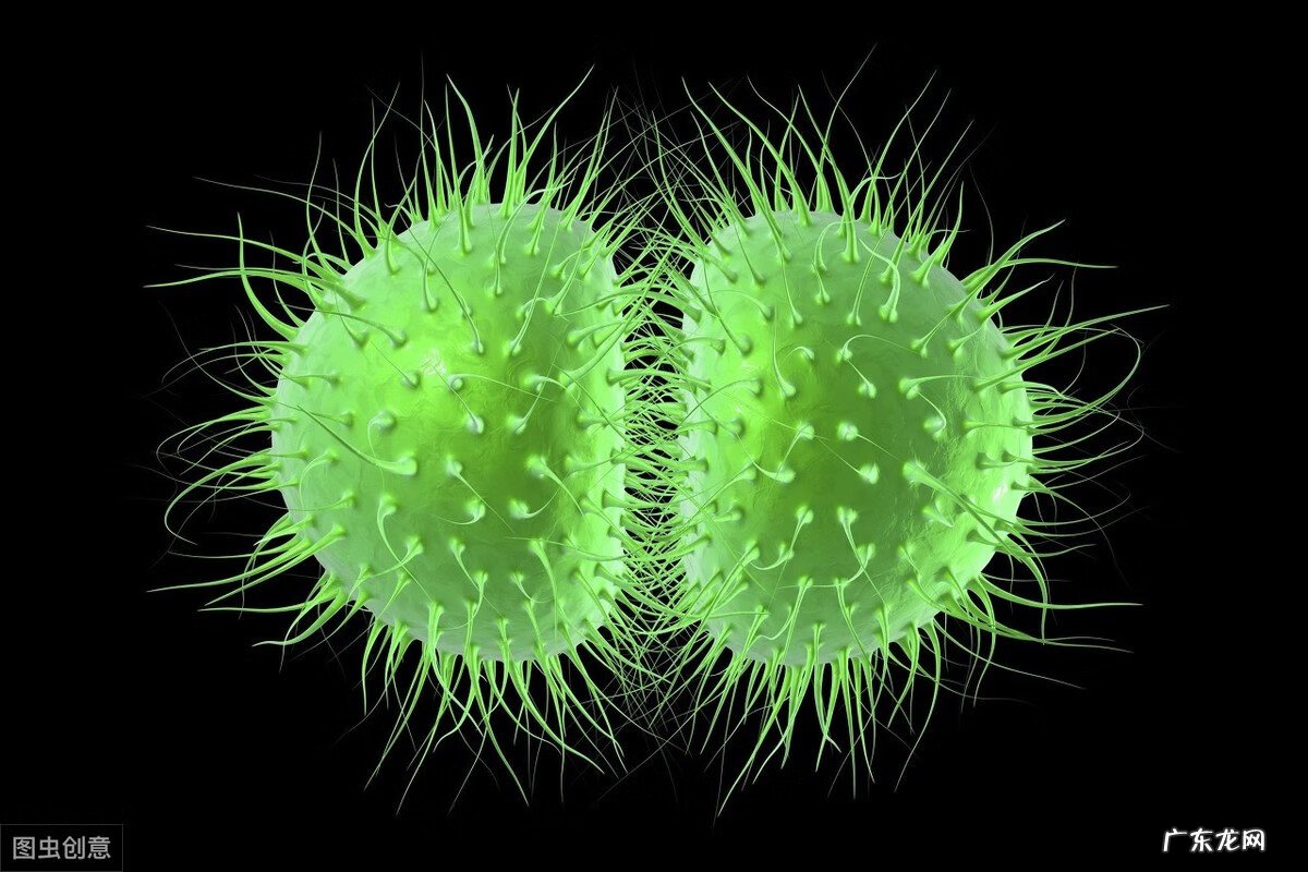 脑膜炎早期症状表现 脑膜炎有什么症状详细点