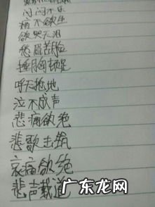 描写人物的描写人物品质的四字词语 心情好成语大全四字成语