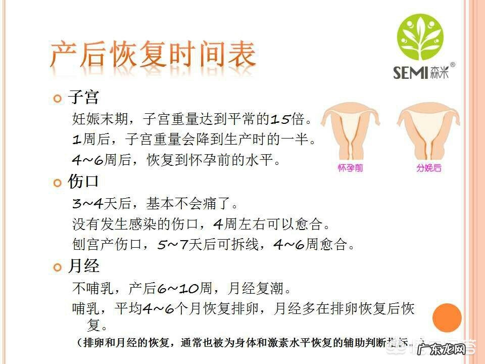 哺乳期妈妈适合哪种减肥方法？