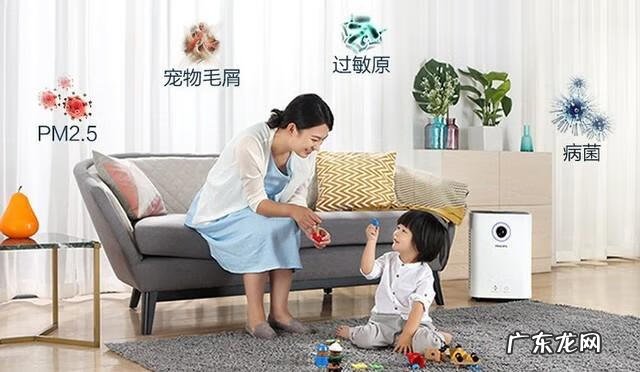 狗毛什么意思 狗毛对人体有什么危害