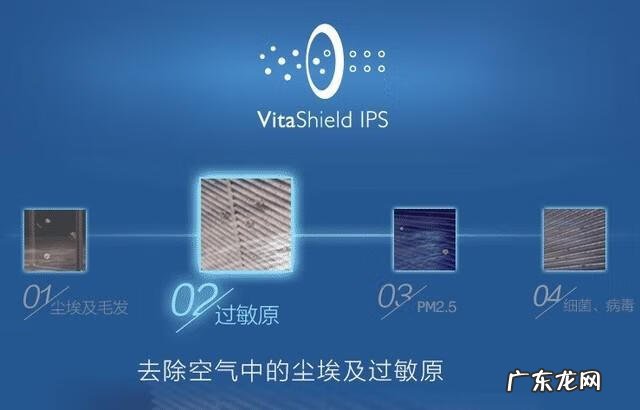 狗毛什么意思 狗毛对人体有什么危害