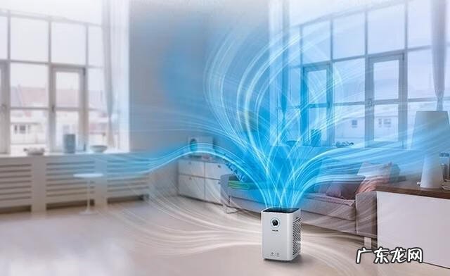 狗毛什么意思 狗毛对人体有什么危害