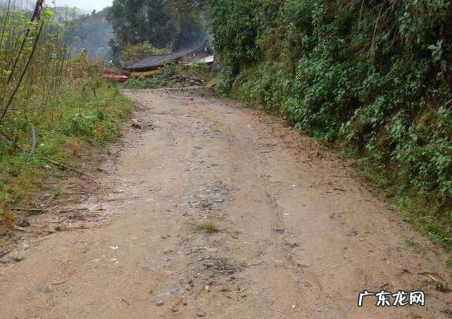 喜鹊养5年了放了能活吗 喜鹊死在门口什么预兆