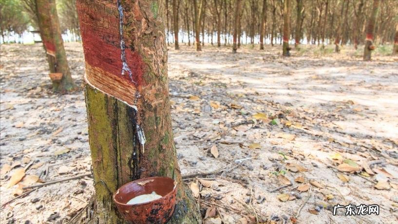 床加床垫1万多贵吗 床垫贵不贵