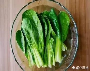 1-6岁的宝宝有哪些营养餐值得推荐?